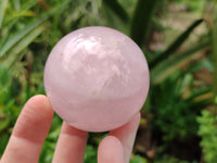 Polished Rose Quartz Spheres x 6 From Madagascar