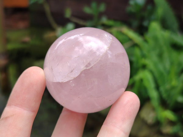 Polished Rose Quartz Spheres x 6 From Madagascar