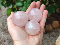 Polished Rose Quartz Spheres x 6 From Madagascar