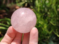 Polished Rose Quartz Spheres x 6 From Madagascar