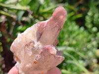 Natural Red Hematoid Quartz Clusters x 15 From Karoi, Zimbabwe