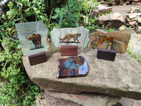 Hand Made Animal Decoupage Stone Slabs x 5 From Southern Africa