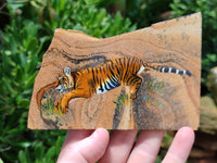 Hand Made Animal Decoupage Stone Slabs x 5 From Southern Africa