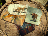 Hand Made Animal Decoupage Stone Slabs x 5 From Southern Africa