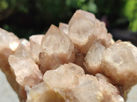 Natural Smokey Phantom Quartz Cluster x 1 From Luena, Congo