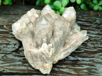 Natural Smokey Phantom Quartz Cluster x 1 From Luena, Congo