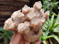 Natural Smokey Phantom Quartz Cluster x 1 From Luena, Congo