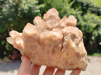 Natural Smokey Phantom Quartz Cluster x 1 From Luena, Congo