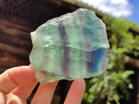 Polished On One Side Watermelon Fluorite x 6 From Uis, Namibia