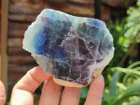 Polished On One Side Watermelon Fluorite x 6 From Uis, Namibia