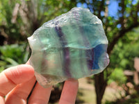 Polished On One Side Watermelon Fluorite x 6 From Uis, Namibia