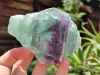 Polished On One Side Watermelon Fluorite x 6 From Uis, Namibia