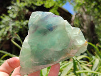 Polished On One Side Watermelon Fluorite x 6 From Uis, Namibia