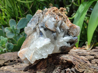 Natural Bladed Barite Specimens x 2 From Congo