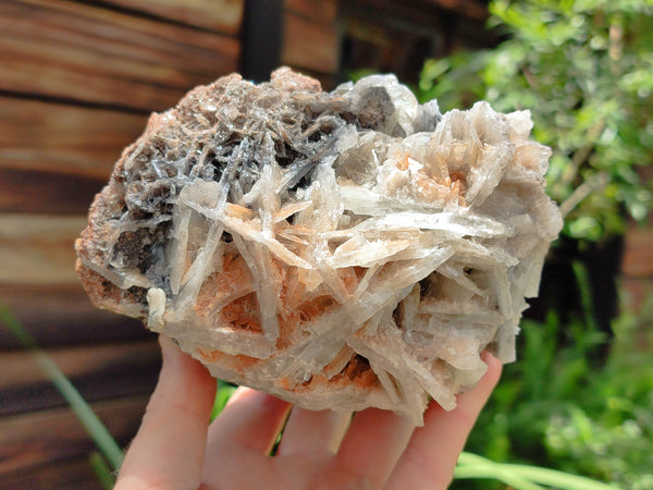 Natural Bladed Barite Specimens x 2 From Congo