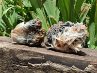 Natural Bladed Barite Specimens x 2 From Congo