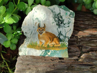 Hand Made Caracal Decoupage Stone Slabs x 8 From Southern Africa