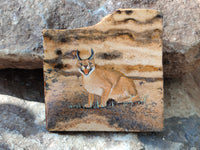 Hand Made Caracal Decoupage Stone Slabs x 8 From Southern Africa