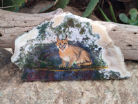 Hand Made Caracal Decoupage Stone Slabs x 8 From Southern Africa