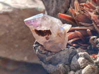 Natural Royal Zulu Amethyst Crystals x 20 from KwaZulu Natal, South Africa