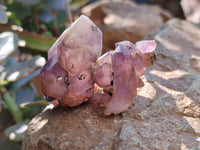 Natural Royal Zulu Amethyst Crystals x 20 from KwaZulu Natal, South Africa