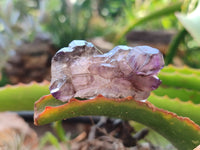 Natural Royal Zulu Amethyst Crystals x 20 from KwaZulu Natal, South Africa