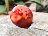 Polished Carnelian Palm Stones x 24 From Madagascar