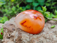 Polished Carnelian Palm Stones x 24 From Madagascar