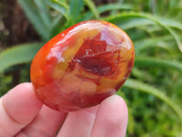 Polished Carnelian Palm Stones x 24 From Madagascar