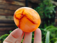 Polished Carnelian Palm Stones x 24 From Madagascar