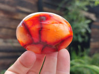 Polished Carnelian Palm Stones x 24 From Madagascar