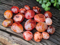 Polished Carnelian Palm Stones x 24 From Madagascar