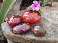 Polished Carnelian Palm Stones x 24 From Madagascar