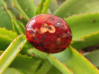 Polished Carnelian Palm Stones x 24 From Madagascar