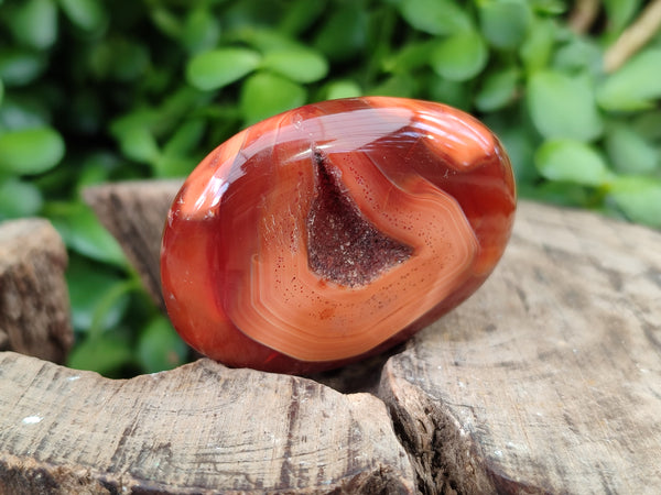 Polished Carnelian Palm Stones x 24 From Madagascar