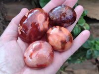 Polished Carnelian Palm Stones x 24 From Madagascar