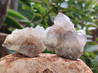 Natural Spirit Quartz Crystals x 35 From Boekenhouthoek, South Africa