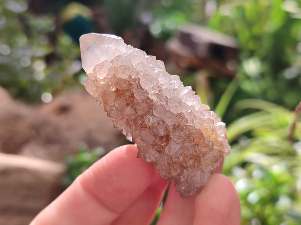 Natural Spirit Quartz Crystals x 35 From Boekenhouthoek, South Africa