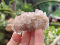 Natural Spirit Quartz Crystals x 35 From Boekenhouthoek, South Africa