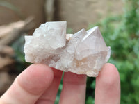 Natural Spirit Quartz Crystals x 35 From Boekenhouthoek, South Africa