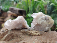 Natural Spirit Quartz Crystals x 35 From Boekenhouthoek, South Africa