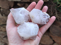 Natural Hematoid Quartz Crystals x 12 From Madagascar