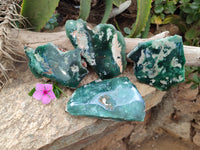 Polished On One Side Emerald Mtorolite Plates x 4 From Mutorashanga, Zimbabwe