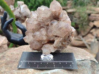 Natural Smokey Phantom Quartz Clusters x 2 From Luena, Congo