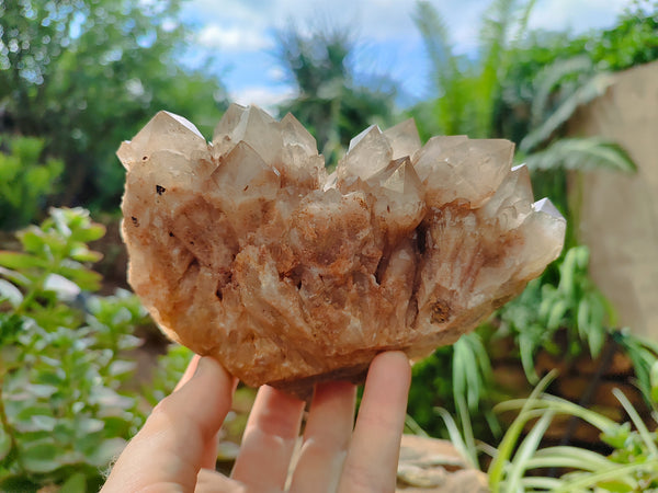 Natural Smokey Phantom Quartz Clusters x 2 From Luena, Congo