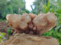 Natural Smokey Phantom Quartz Clusters x 2 From Luena, Congo