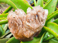 Natural Smokey Phantom Quartz Clusters x 2 From Luena, Congo