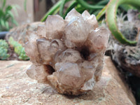 Natural Smokey Phantom Quartz Clusters x 2 From Luena, Congo