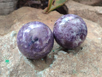 Polished Lepidolite with Pink Rubellite Spheres x 6 From Ambatondrazaka, Madagascar