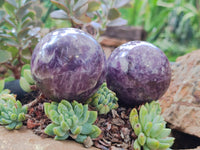 Polished Lepidolite with Pink Rubellite Spheres x 6 From Ambatondrazaka, Madagascar